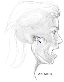 Articulacion temporomandibular